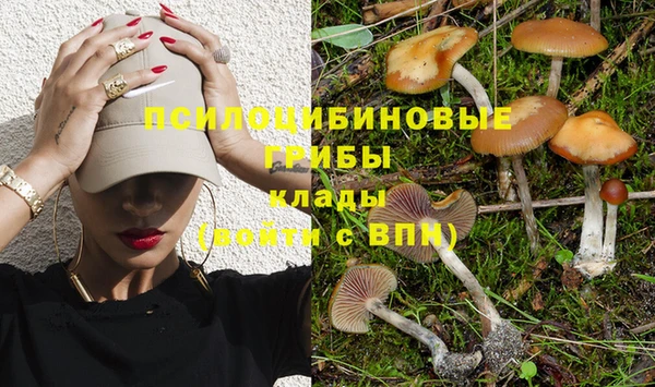 спайс Арсеньев