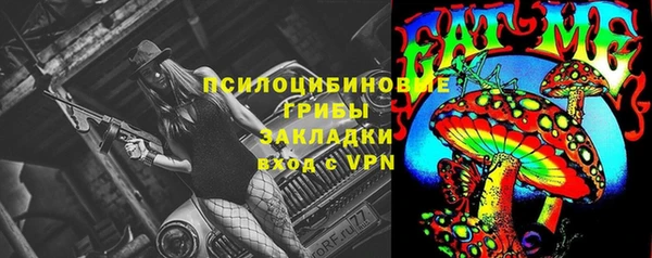 спайс Арсеньев